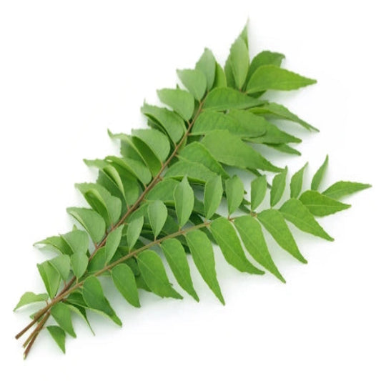 Curry Leaves – Karivepaku 1 Piece