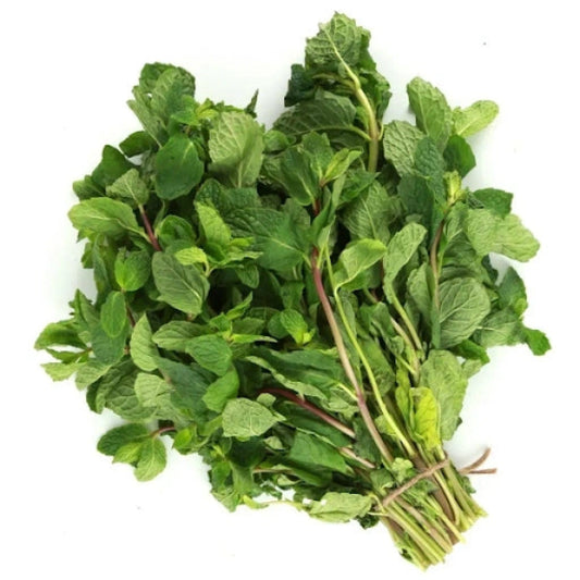 Mint Leaves – Pudina