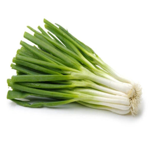 Spring Onion – Green Ullipaya