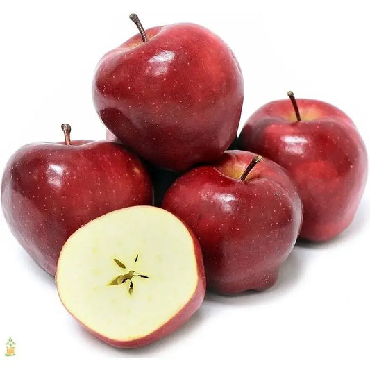 Apple – Flash Gala Each