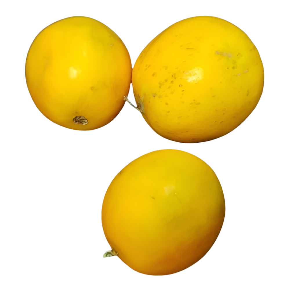 Dosakaya/Yellow Cucumber(Round) 500 Grams
