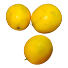 Dosakaya/Yellow Cucumber(Round) 500 Grams