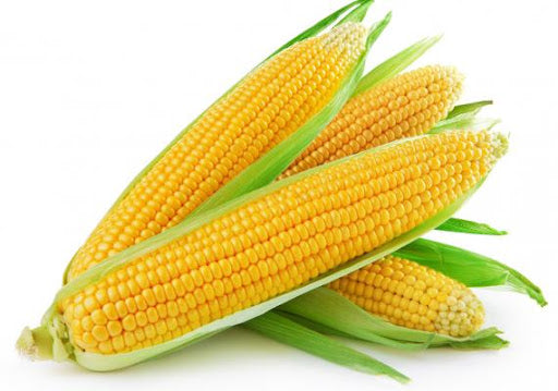 Sweet Corn - Single Piece